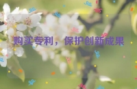 购买专利，保护创新成果