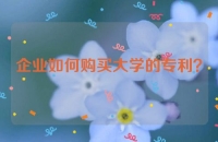 企业如何购买大学的专利？