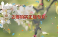 去哪购买正规专利?