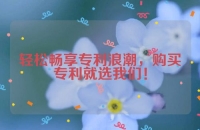 轻松畅享专利浪潮，购买专利就选我们！
