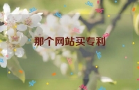 那个网站买专利