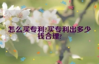 怎么买专利?买专利出多少钱合理?