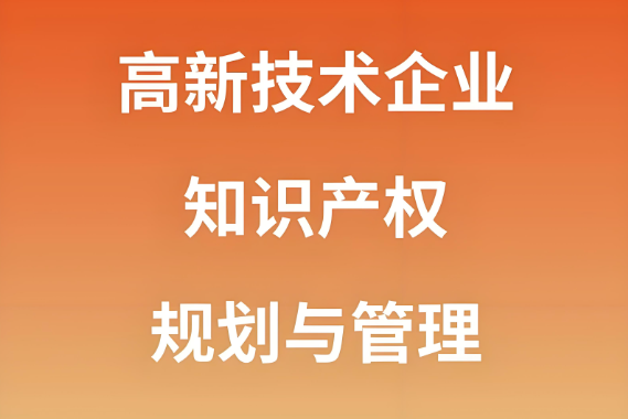 高新技术企业知识产权规划与管理